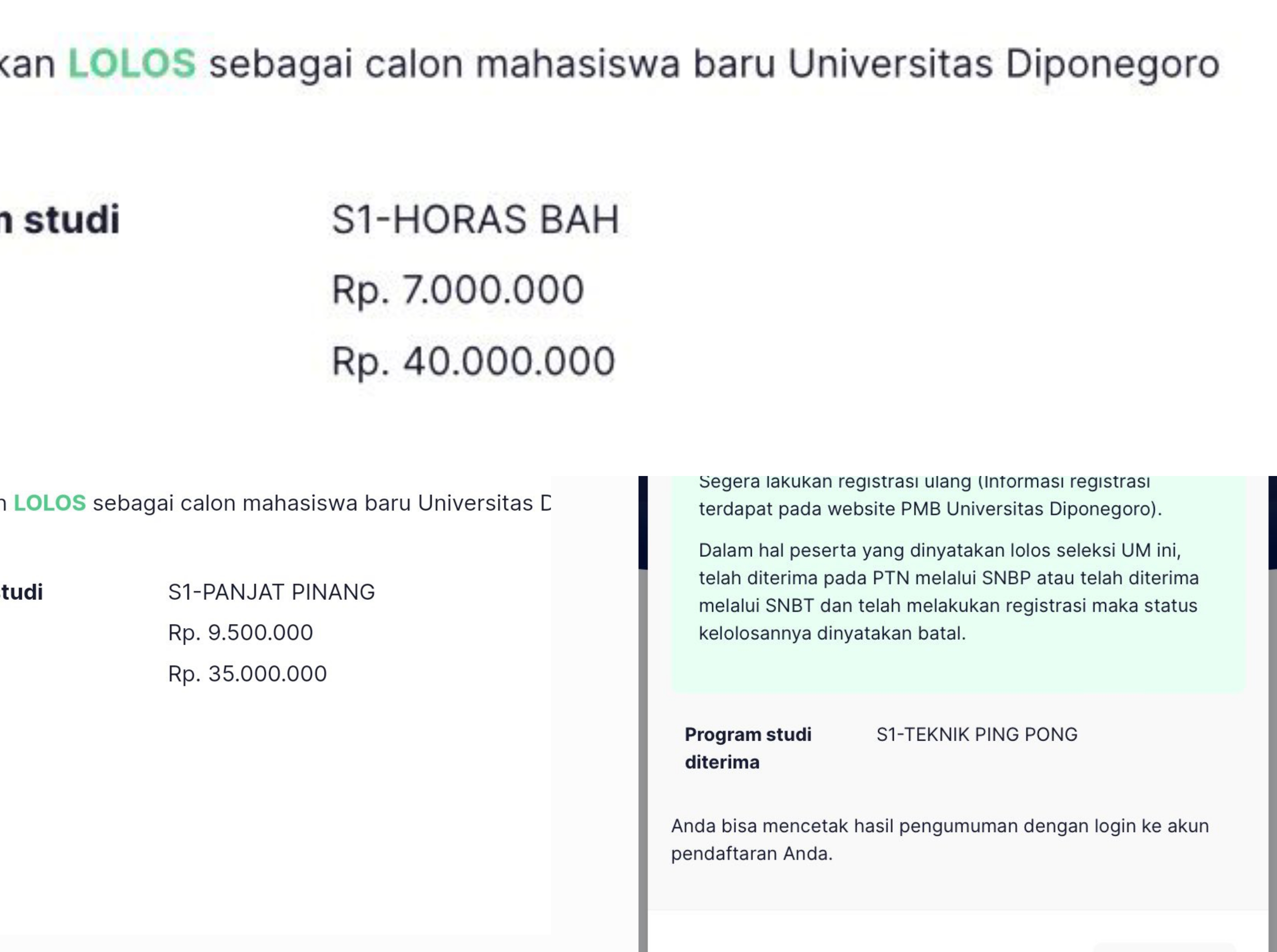 Kumpulan screenshot pengumuman kelolosan yang nama prodinya berubah.