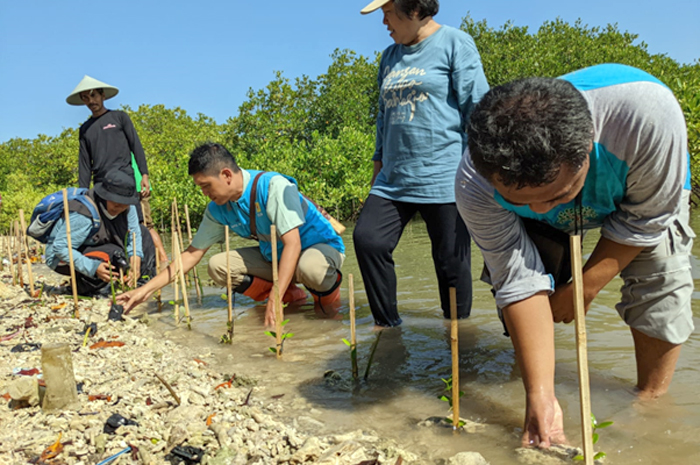 CINTA ALAM: Tim dari PLN UIK Tanjung Jati B bersama masyarakat menanam mangrove di Desa Mororejo, Mlonggo, Jepara, Rabu (26/7).