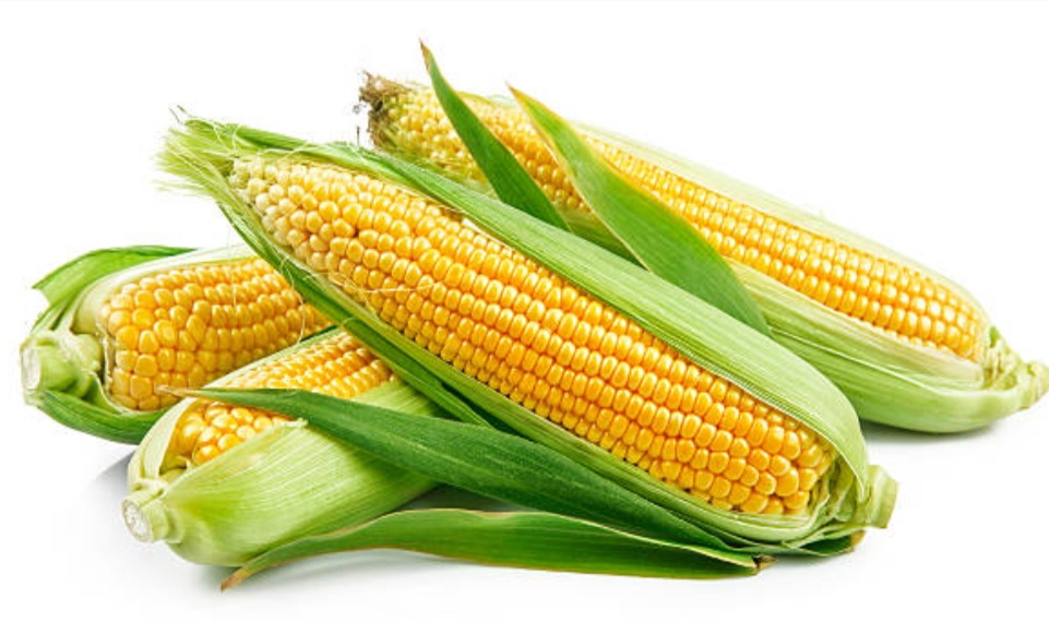 Rambut jagung rupanya punya segudang manfaat untuk kesehatan