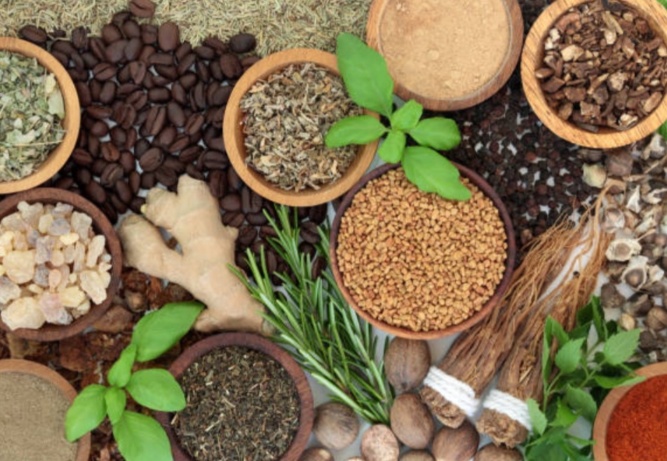 Ilustrasi herbal. Foto: istockphoto.com
