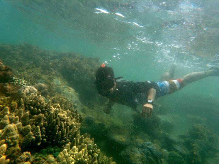 MENAWAN: Seorang penyelam berenang di antara terumbu karang yang tumbuh di perairan Ujungpiring.