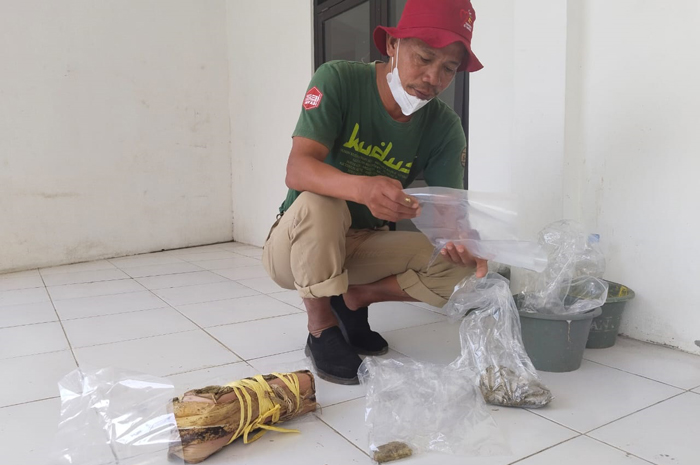 ESKAVASI: Konservator Museum Situs Purbakala Patiayam Jamin menunjukkan temuan fosil Desa Gondoharum di Museum Situs Purbakala Patiayam, Kudus kemarin.