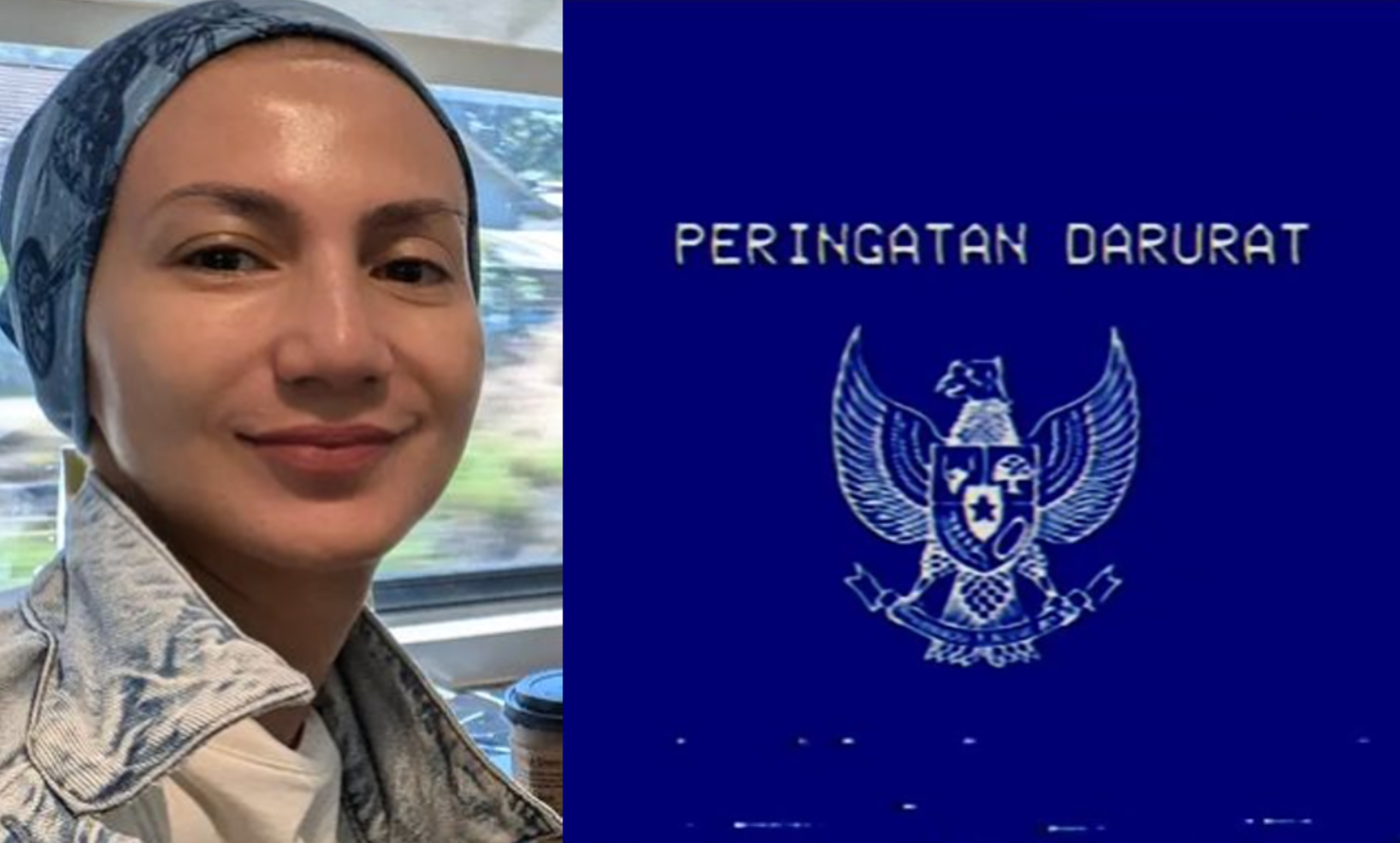 Wanda hamidah keluar dari golkar buntut gerakan Peringatan Darurat