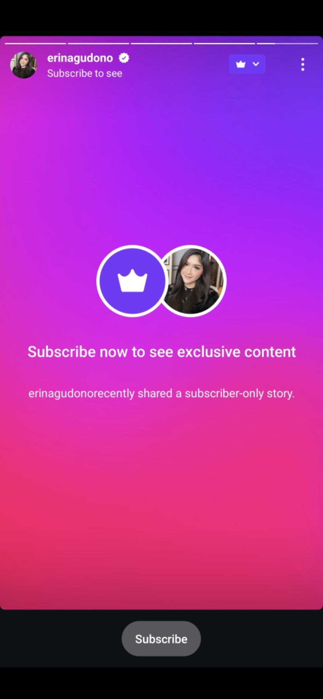 Instagram story @erinagudono