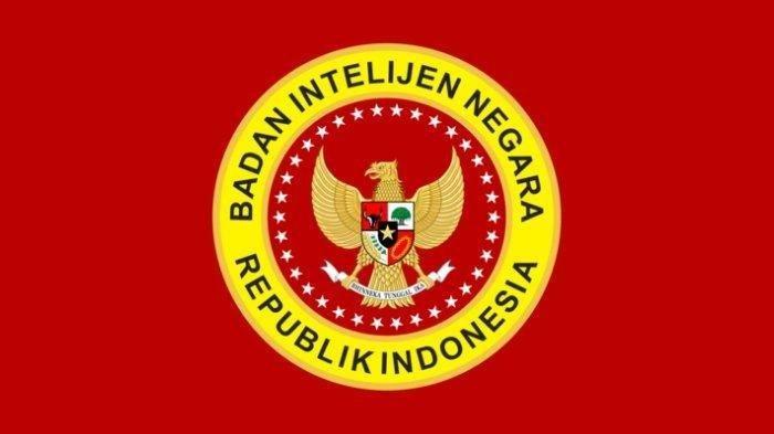 Logo BIN