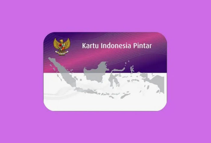 Kartu PIP