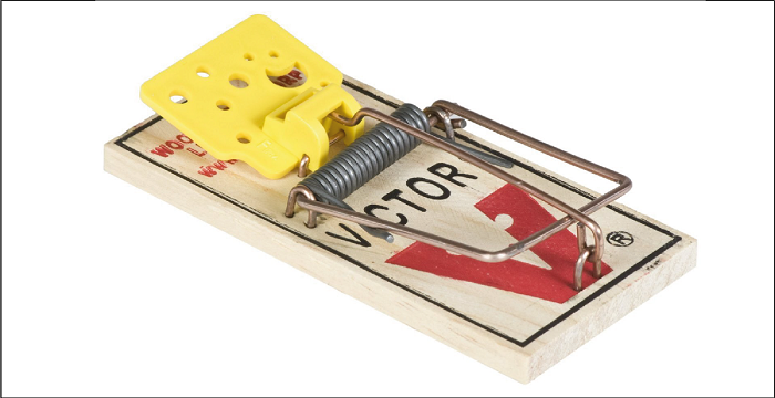 Victor Easy Set Mouse Trap