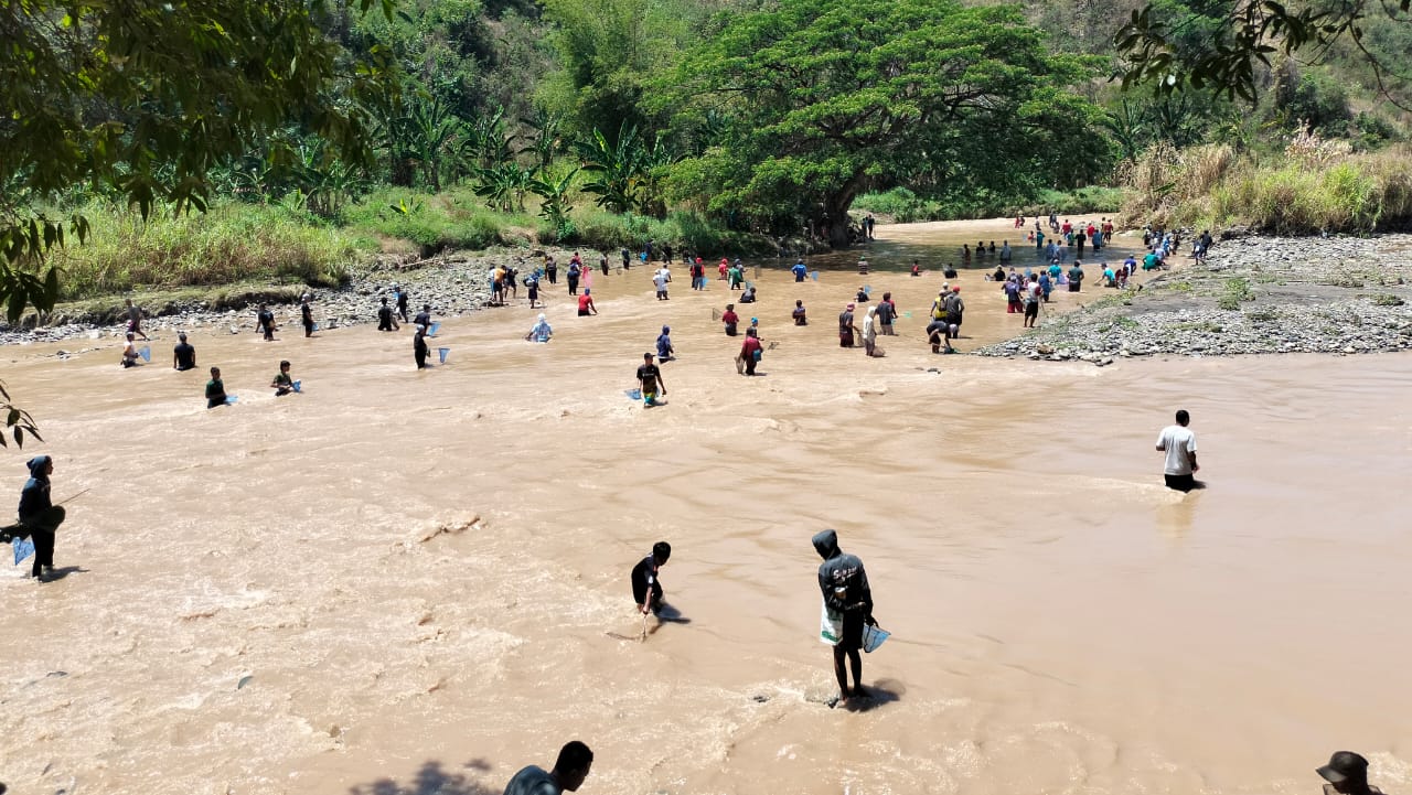 TRADISI: Warga di Desa Ngombak dan Desa Karanglangu Kecamatan Kedungjati saat berburu ikan di sungai setempat.