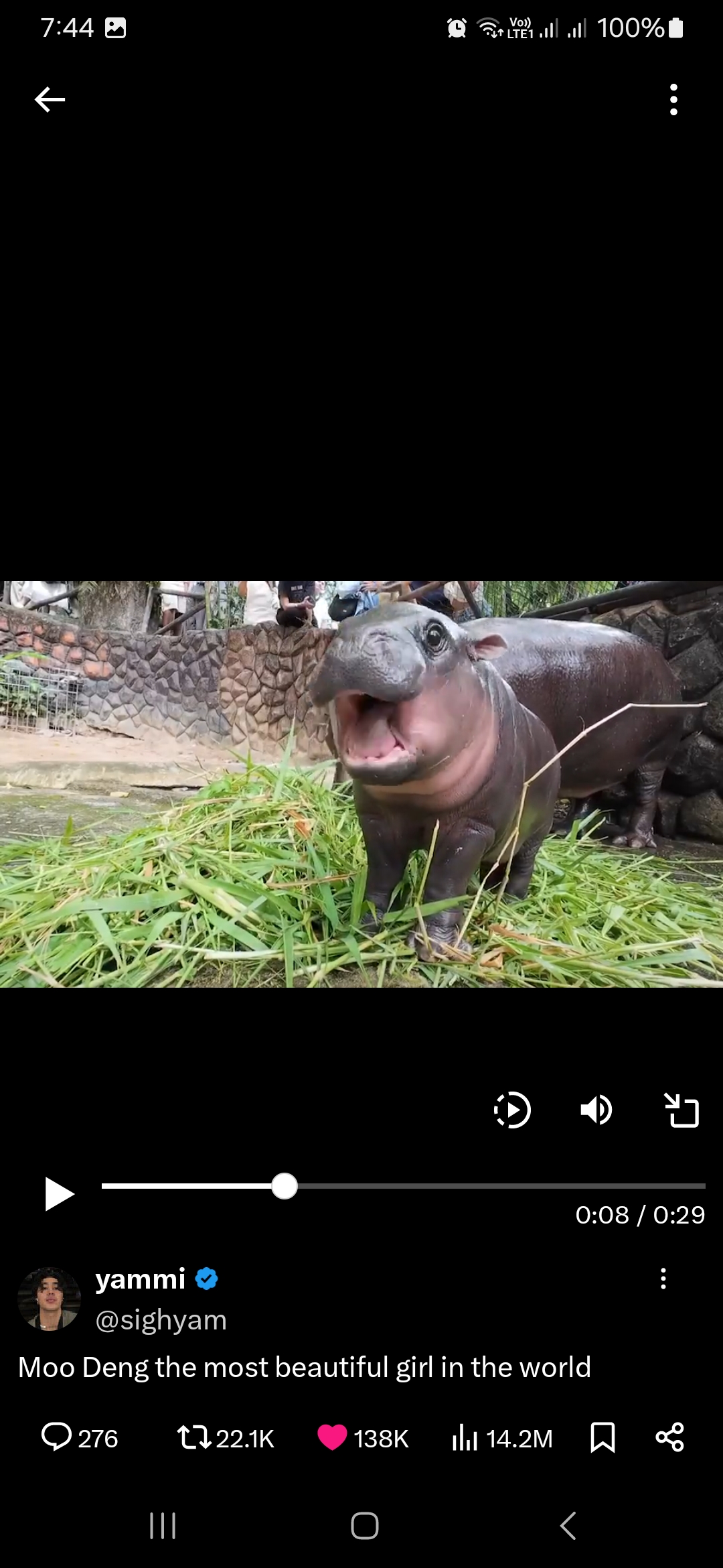 Moo Deng yang jadi primadona. Foto: @sighyam