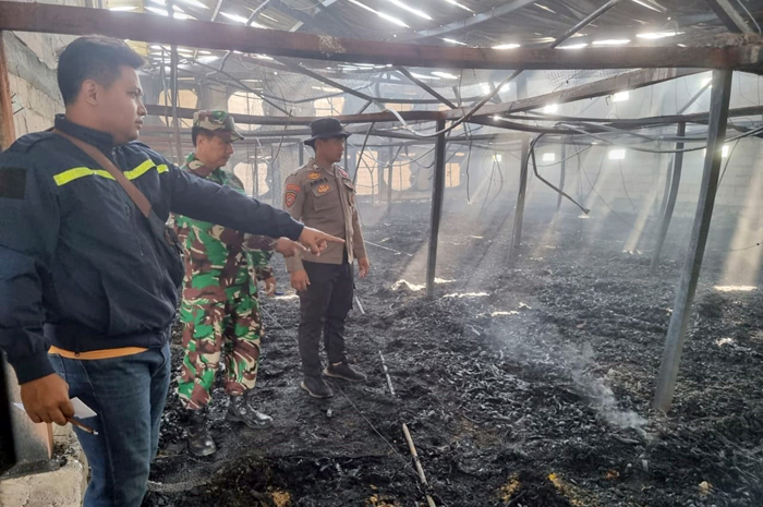 OLAH TKP: Anggota Polsek Gubug melakukan olah TKP kebakaran kandang ayam di Desa Saban, Kecamatan Gubug yang ludes terbakar, Senin (16/9).