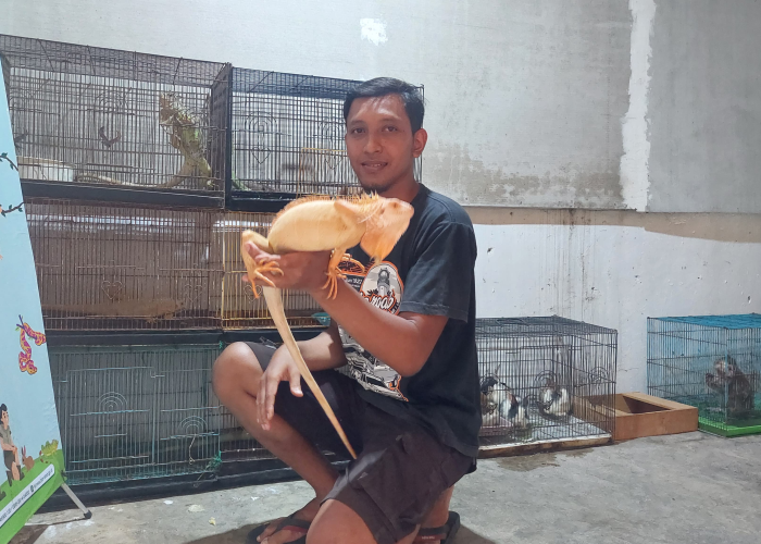 OMAH SATWA: Angga Cahyo Putro, seorang pecinta satwa, telah mengubah hobi memelihara hewan menjadi sebuah bisnis dan wahana edukasi yang dikenal dengan nama Omah Satwa.