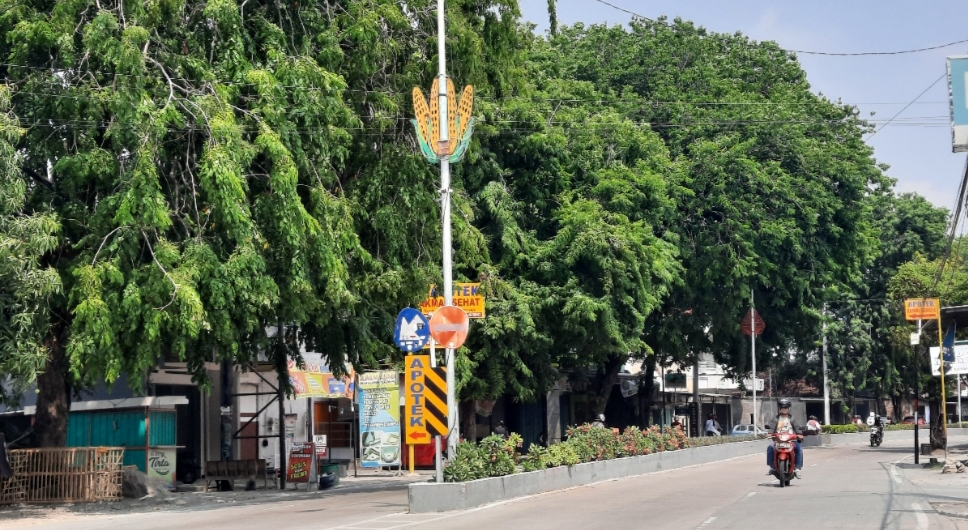 DIPERCANTIK: Sejumlah median jalan di Kota Purwodadi ditambah ornamen lampu pajale dan gunungan.