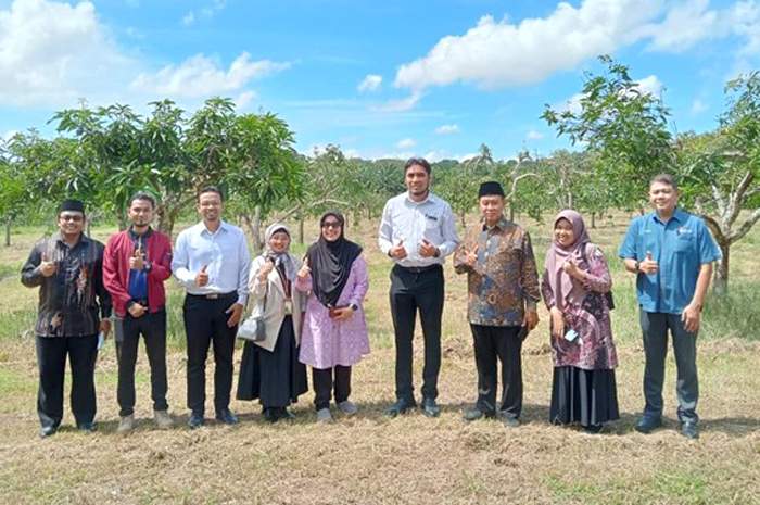 Kunjungan Tim Pengabdi ke kebun di UiTM MARA