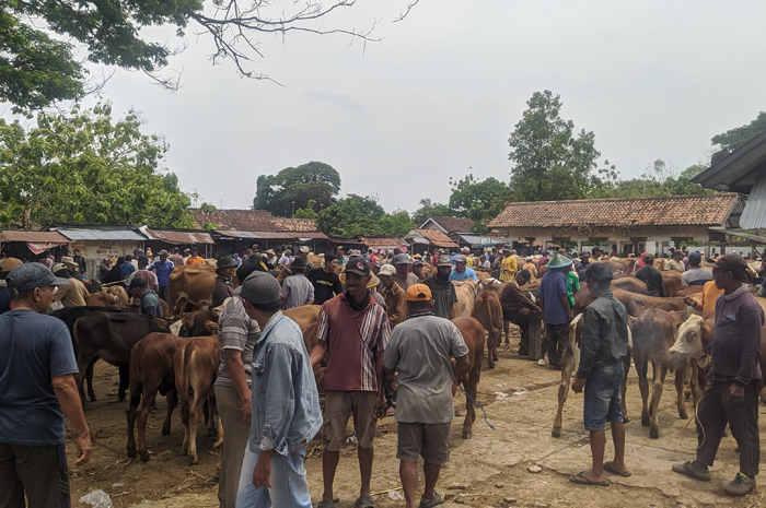 PERENCANAAN: Kondisi Pasar Hewan Pon di Blora kota bakal jadi percontohan pembangunan pasar hewan Kunduran.