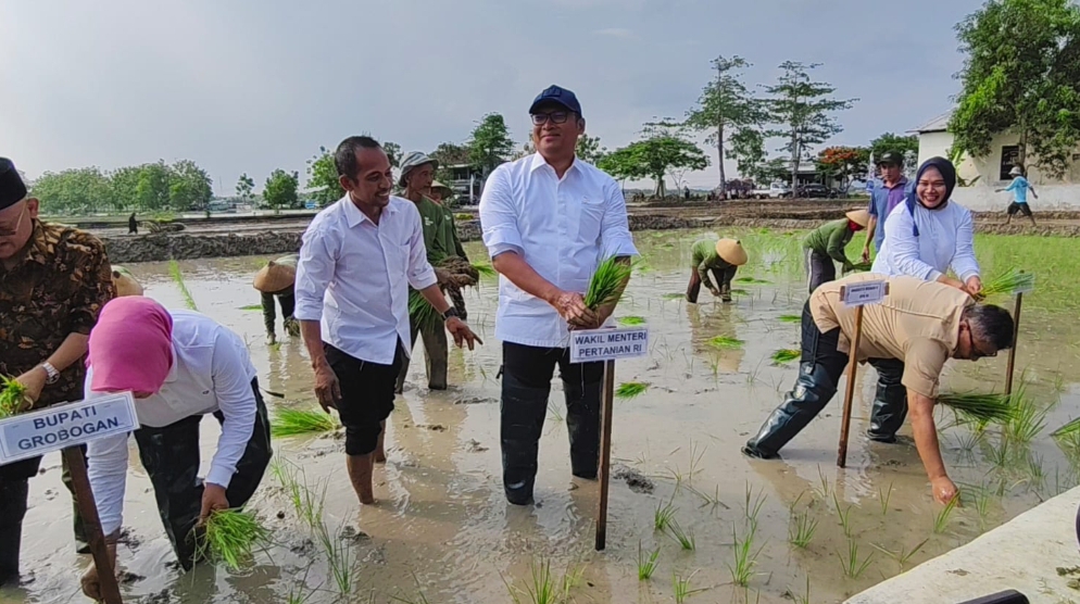 PULANG KAMPUNG: Wakil Menteri Pertanian RI, Sudaryono, pulang kampung ke Desa Tambirejo, Kecamatan Toroh, Grobogan dan ikut menanam padi dengan petani baru-baru ini.