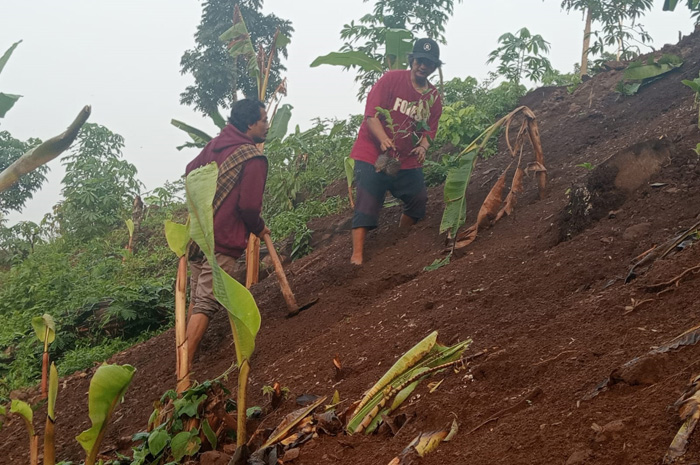 GIGIH: Para penggiat komunitas lakukan pelestarian Kaki Gunung Muria pada Minggu (25/11) dengan menanam pohon.