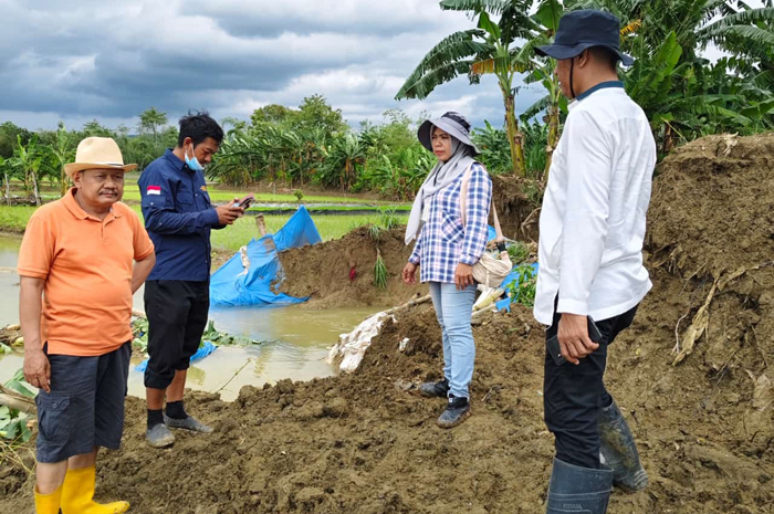 JEBOL: Dinas PUPR Grobogan mengecek tanggul yang jebol di Desa Lemahputih, Kecamatan Brati.