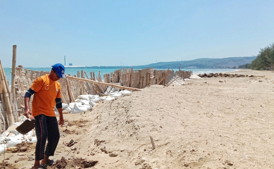 TANGGUL SEMENTARA: Area pantai di Lasem dipasang bambu sebagai tanggul sementara untuk mencegah abrasi tahun lalu.