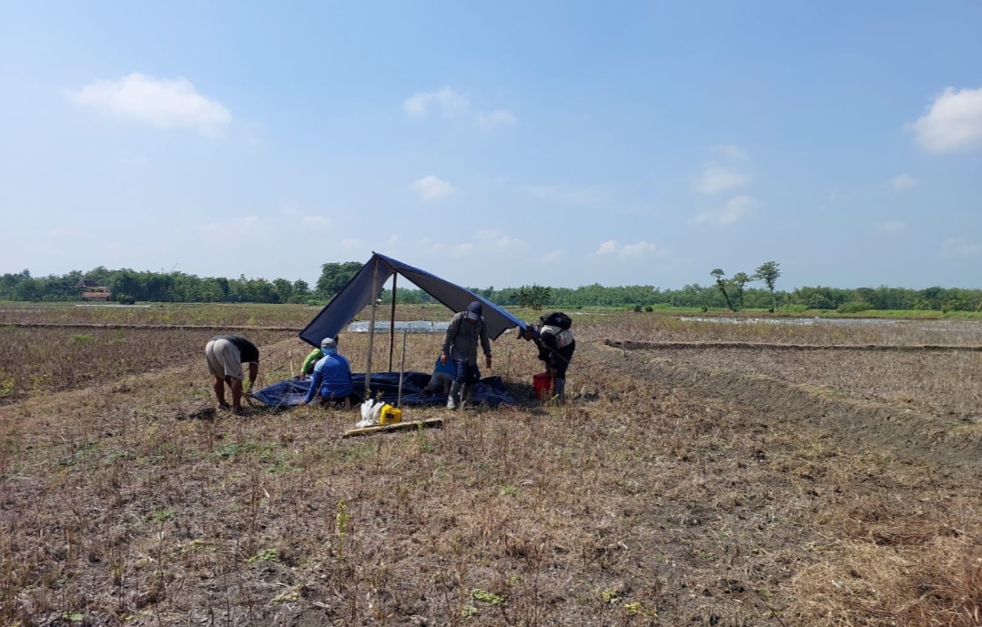 PENYELIDIKAN: Tim teknis Badan Geologi Kementerian Energi dan Sumber Daya Mineral (ESDM) memasang alat geofisika di wilayah Kecamatan Kradenan, Grobogan.