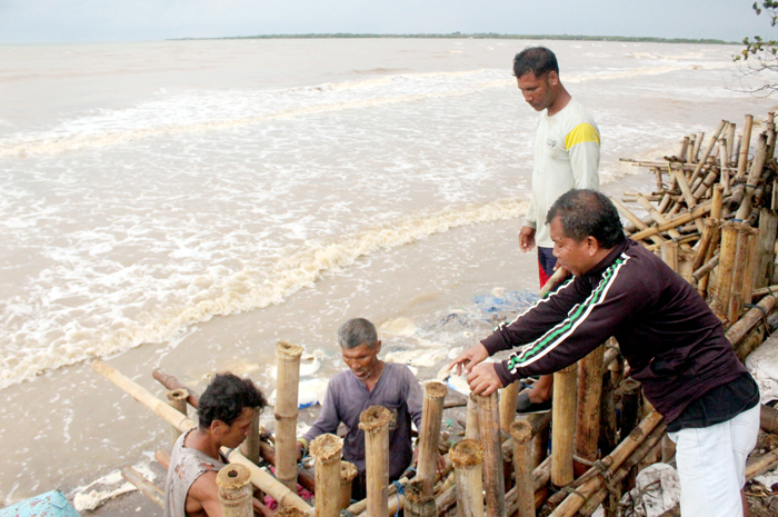 BERTAHAN: Warga Dukuh Ngelak, Desa Jambu, Kecamatan Mlonggo, Jepara, gotong royong memagari pesisir pantai dengan bambu kemarin.