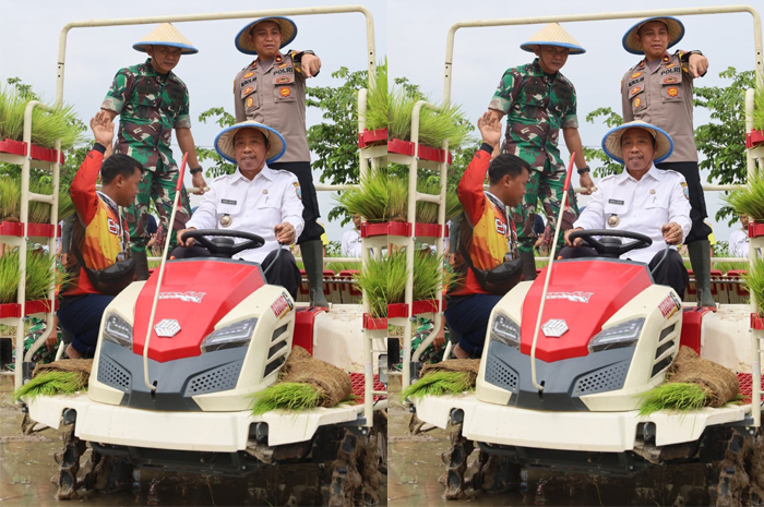 TANAM PERDANA: Bupati Rembang Abdul Hafidz mencoba mesin penanam padi bersama Dandim 0720 Letkol Inf Yudhi Yahya dan Wakapolres Rembang, Kompol M. Fadhlan saat tanam padi perdana di Desa Weton.