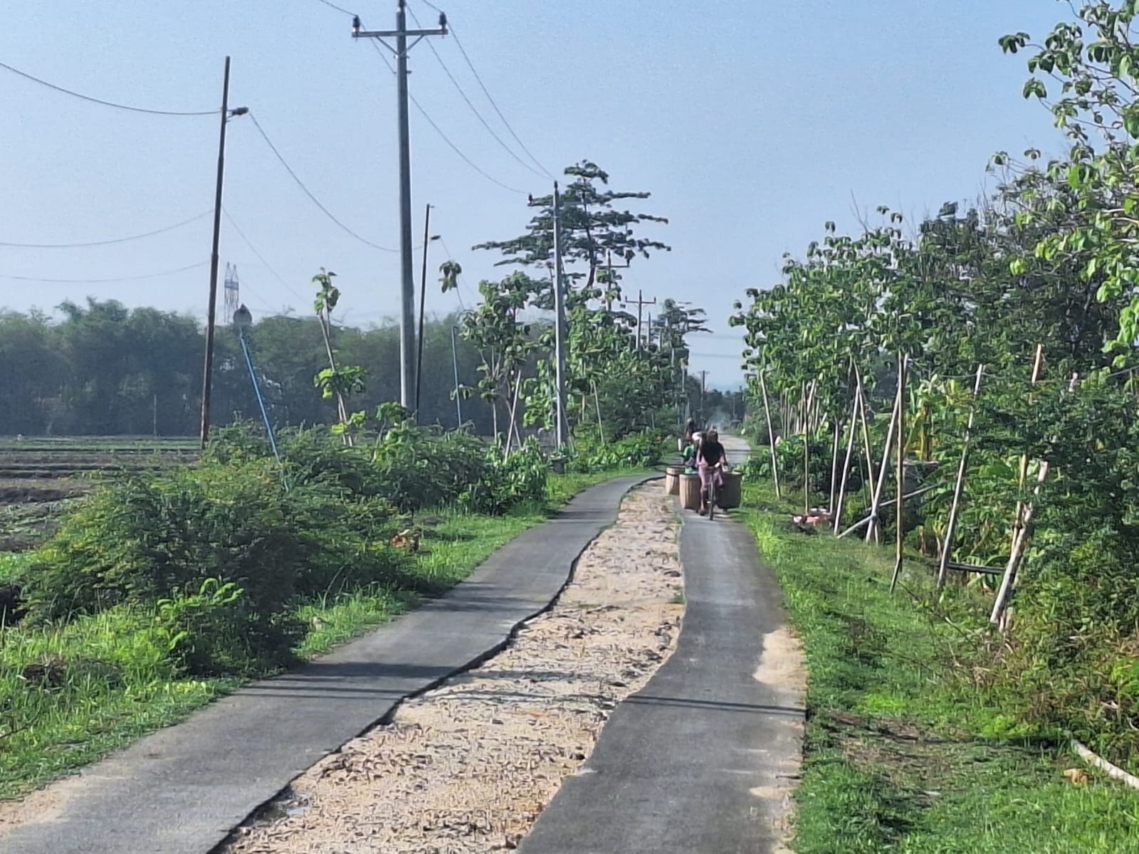 INFRASTUKKTUR: Kondisi jalann yang ada di Kabupaten Grobogan.