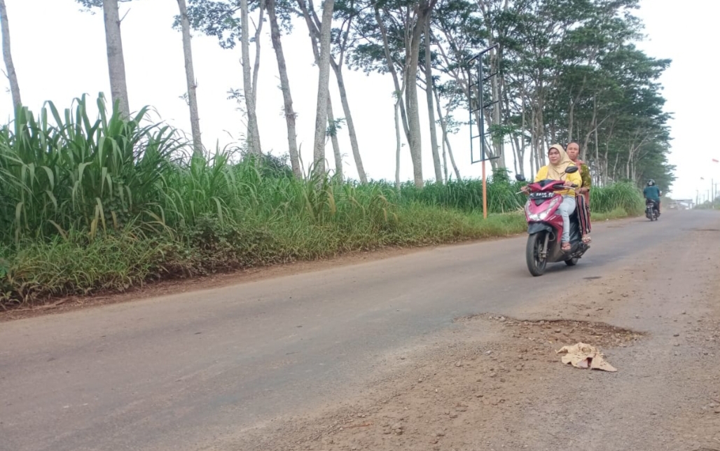 RUSAK: Warga mengeluhkan kerusakan Jalan Gunungwungkal-Bondol yang baru saja diperbaiki baru-baru ini.