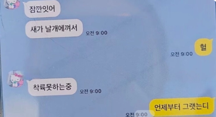 VIRAL: Pesan terakhir korban kecelakaan Jeju Air Korea Selatan di aplikasi KakaoTalk