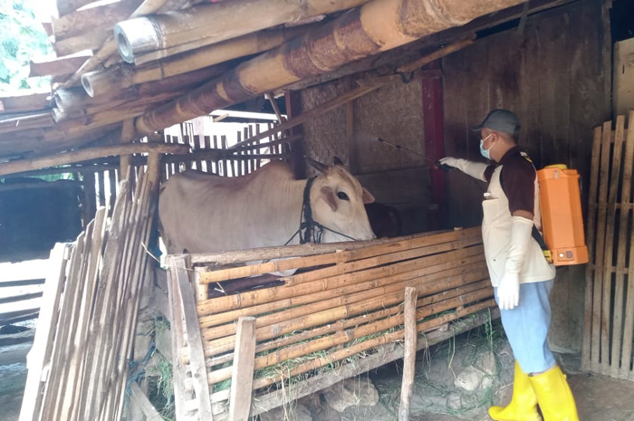 MENYEMPROT: Petugas PMI Grobogan saat melakukan penyemprotan eco enzym di Desa Sumberagung Kecamatan Ngaringan.