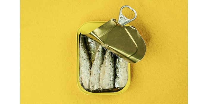 Ikan sarden (Foto : Karen La&aring;rk Boshoff/Pexels)