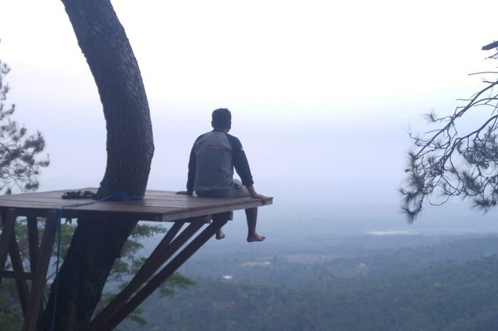 IKONIK:Wisata hutan pinus Pangonan di Desa Gunungsari yang banyak digunakan untuk berbagai acara.