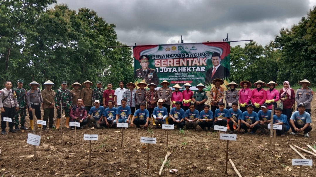 Kapolres Rembang, AKBP Dhanang bersama TNI dan Kepala Dintanpan, Agus Iwas Haswanto beserta jajaran tanam jagung serentak, Selasa lalu (21/1).
