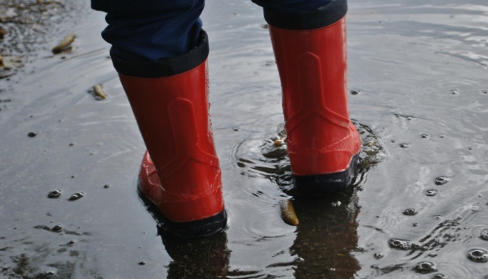 Ilustrasi banjir (Foto : Abigail Le Fay/Pexels)