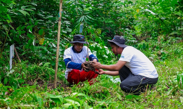 MENANAM: Program BRI Menanam - Grow & Green yang dilaksanakan di lahan kritis yang terletak di Kampung Tanjung Prepat, Kabupaten Berau, Provinsi Kalimantan Timur