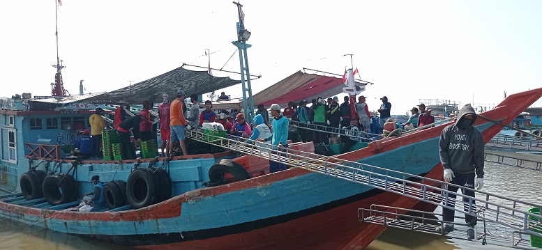 BERLABUH: Kapal-kapal ikan yang berlabuh di kawasan pelabuhan perikanan Juwana belum lama ini.