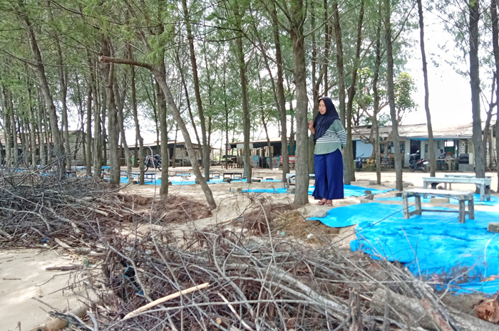 SAMPAH MENUMPUK: Sampah ranting mengendap di area bibir Pantai Caruban setelah dihantam abrasi beberapa waktu lalu.