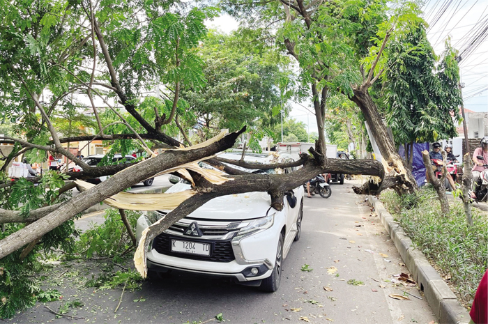 EVAKUASI: Mobil Mitsubishi Pajero tertimpa pohon di tepi Jalan Pemuda, Rembang, dievakuasi, Minggu (16/2).
