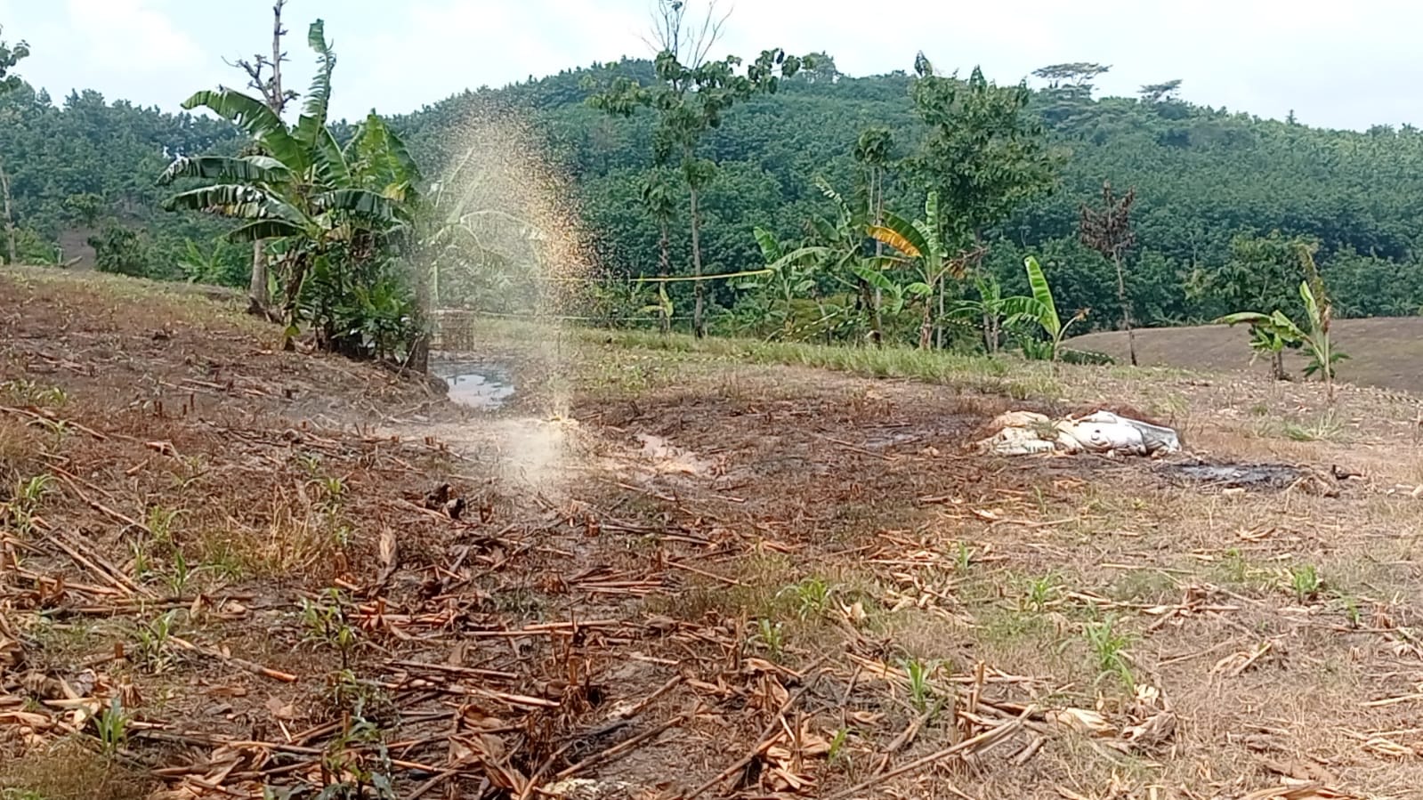 SEMBURAN: Lantungdi Sumur Tua Kedinding baru-baru ini mencemari aliran sungai di sekitar wilayah irigasi pertanian warga.