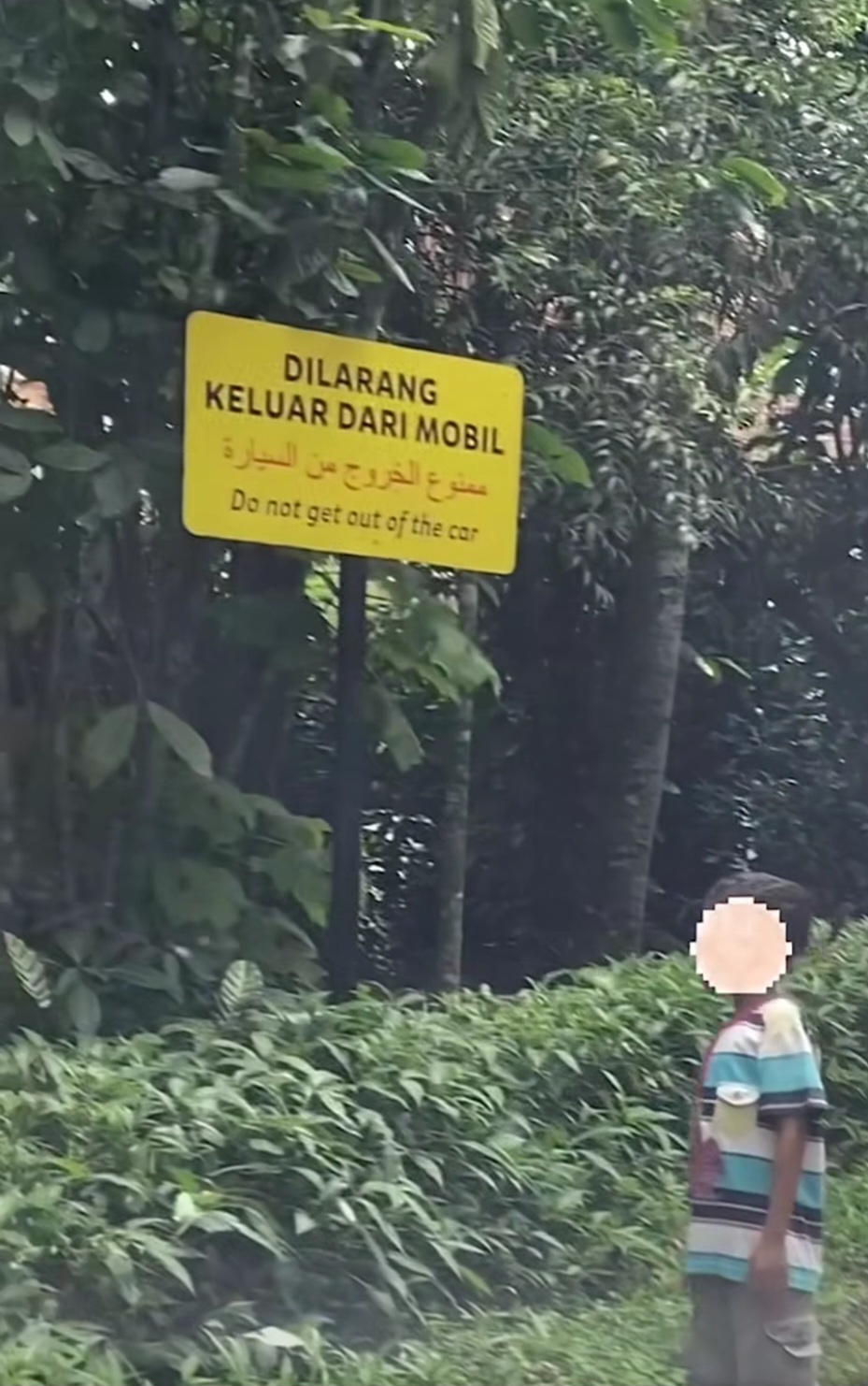 WISATA: Sekeluarga keluar dari mobil saat berada di Taman Safari Bogor padahal dilarang keluar mobil karena ada satwa liar