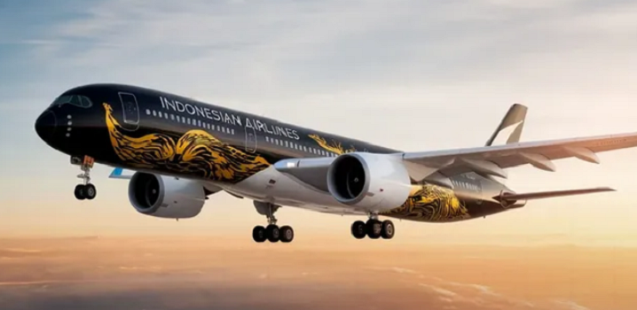 Indonesia airlines