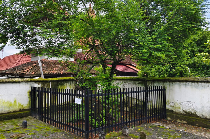 MASIH HIDUP: Pohon gandrik yang diyakini tempat mengikat petir yang ditangkap Ki Ageng Selo.