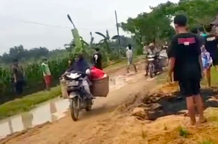 PROTES: Warga Desa Sembungharjo, Kecamatan Pulokulon, menanami pohon pisang di jalan desa sebagai bentuk protes karena tidak perbaikan jalan selama bertahun-tahun.