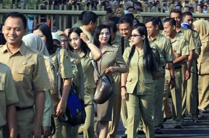 Illustrai Aparatur Sipil Negara (ASN).