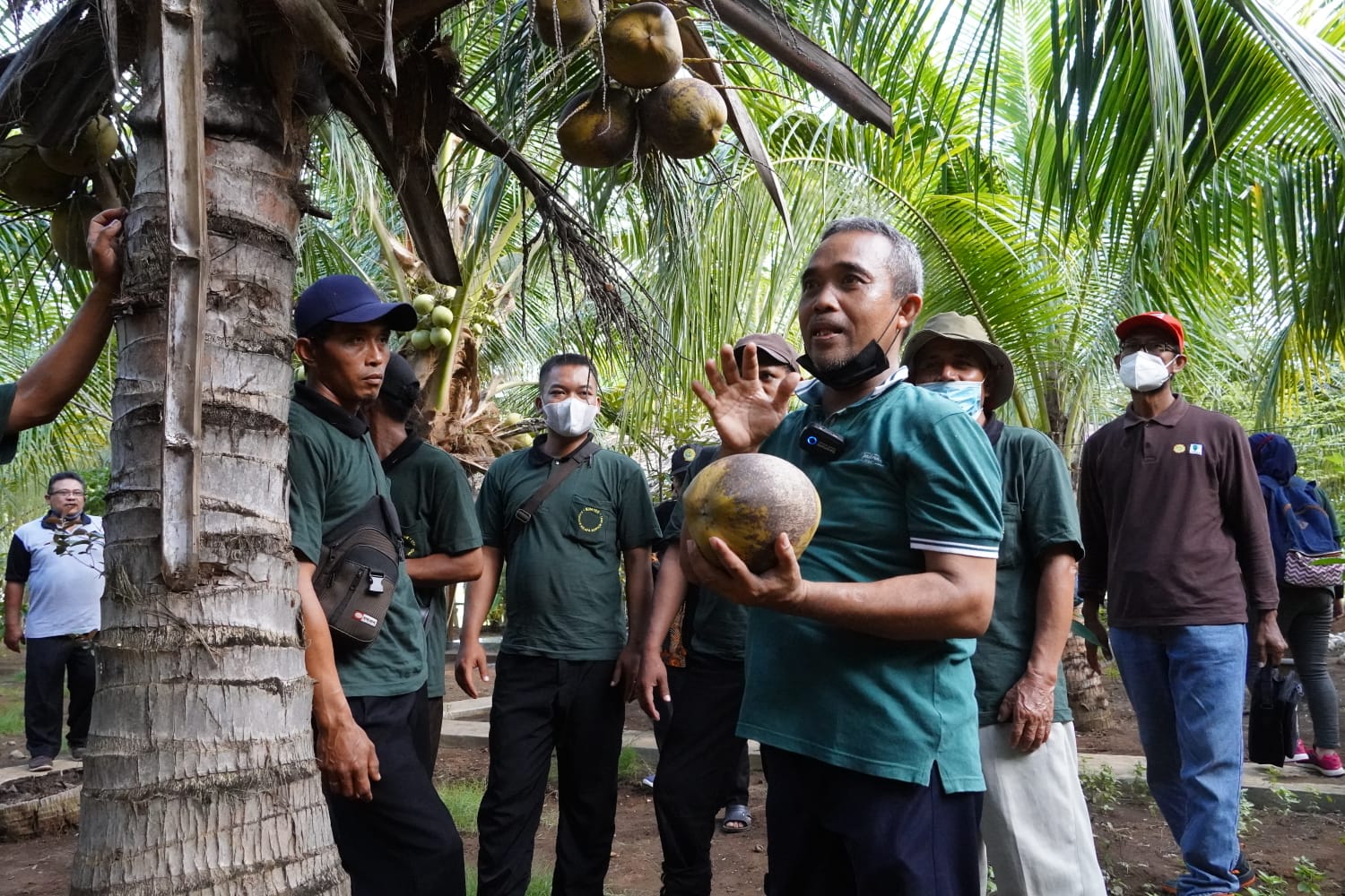 MENJANJIKAN: Petani kelapa kopyor Tulus Sanyoto menunjukkan hasil panen di kebun miliknya.