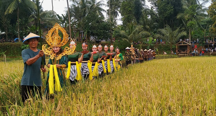KHIDMAT: Para penari pemeran Dewi Sri mengawali prosesi wiwitan panen pani di area persawahan Desa Kawak kemarin.