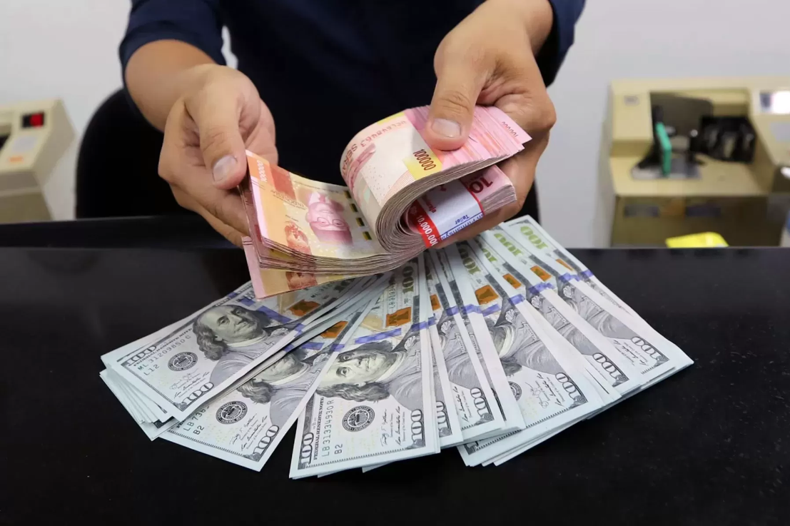 Ilustrasi Dolar