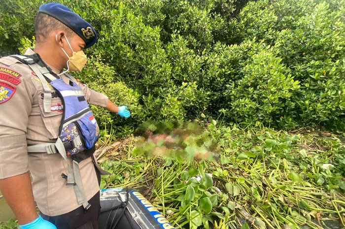 DIEVAKUASI: Tim gabungan menemukan mayat di Sungai Juwana belum lama ini.