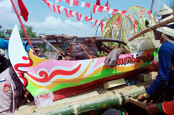 MERIAH: Panitia Bersiap melarung kepala kerbau ke muara Sungai Tayu pagi kemarin.