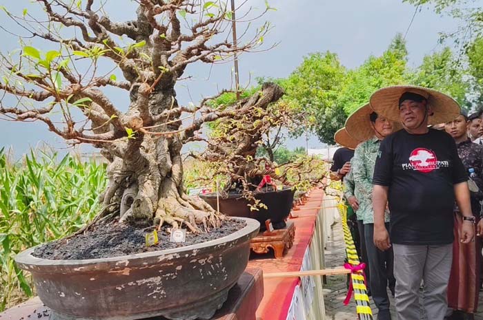 TINJAU STAND: Bupati Grobogan Setyo Hadi meninjau lokasi pameran kontes bonsai tingkat nasional di Rumah Kedelai Grobogan (RKG) Tahun 2025, Minggu (20/4).