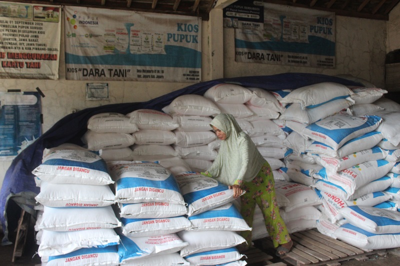 TERSEDIA &ndash; Stok pupuk di kios Dara Tani, Desa Kuwasen, masih aman hingga kemarin.